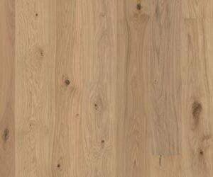 Alternative view of Wbps008